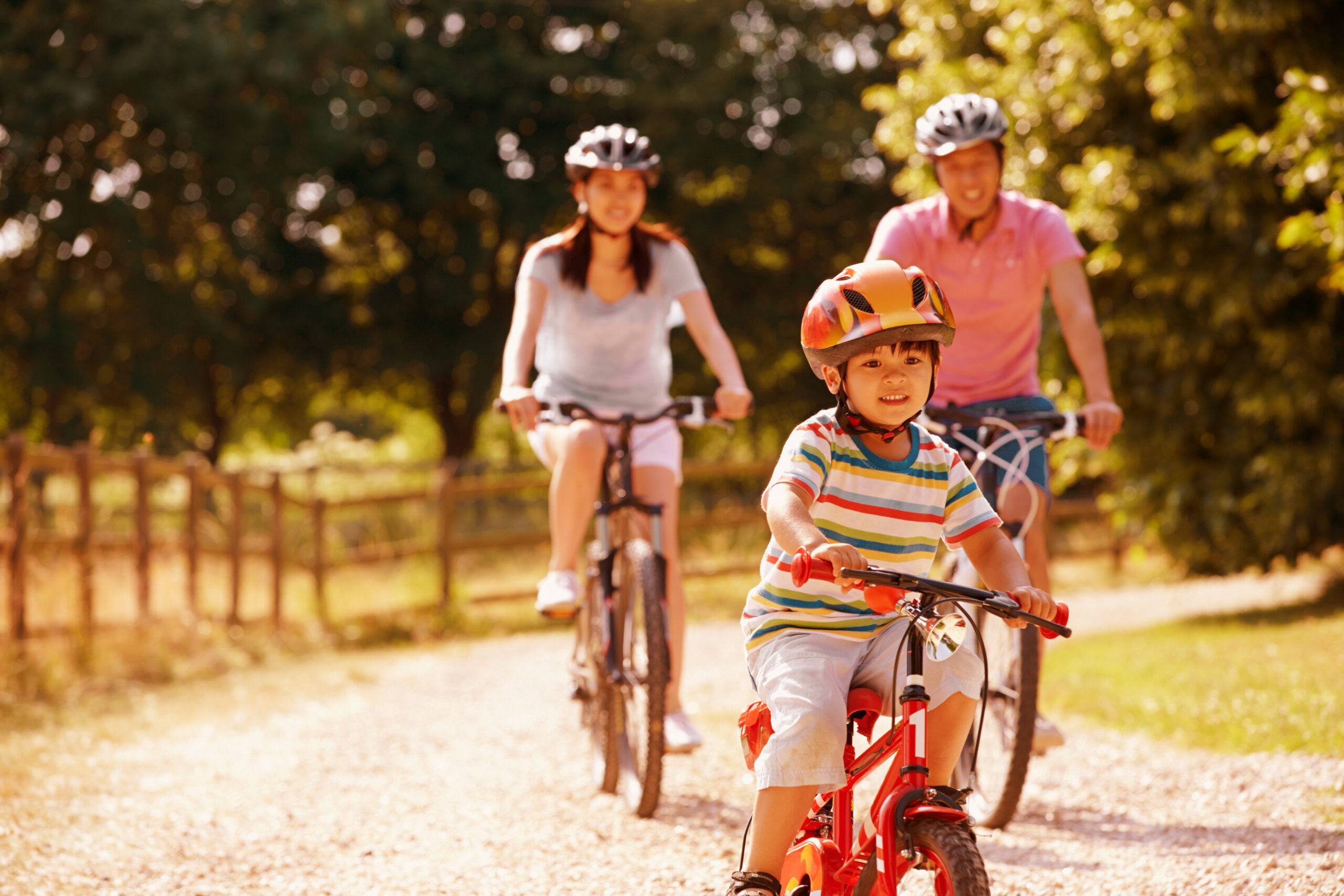 Family on bikes cycling