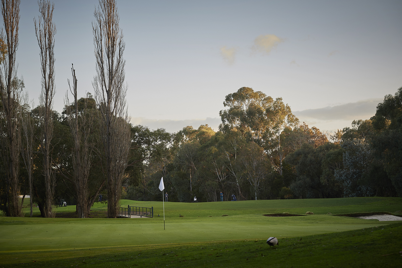 Box Hill Golf Course