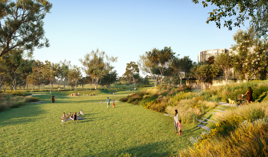 Park with families